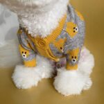 Knitted Cardigan Of Many Styles For Dog