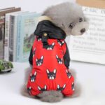 Fashion Jacket - Pug Dog Pattern Jumpsuit