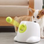 Automatic Tennis Ball Throwing Machine For Dog