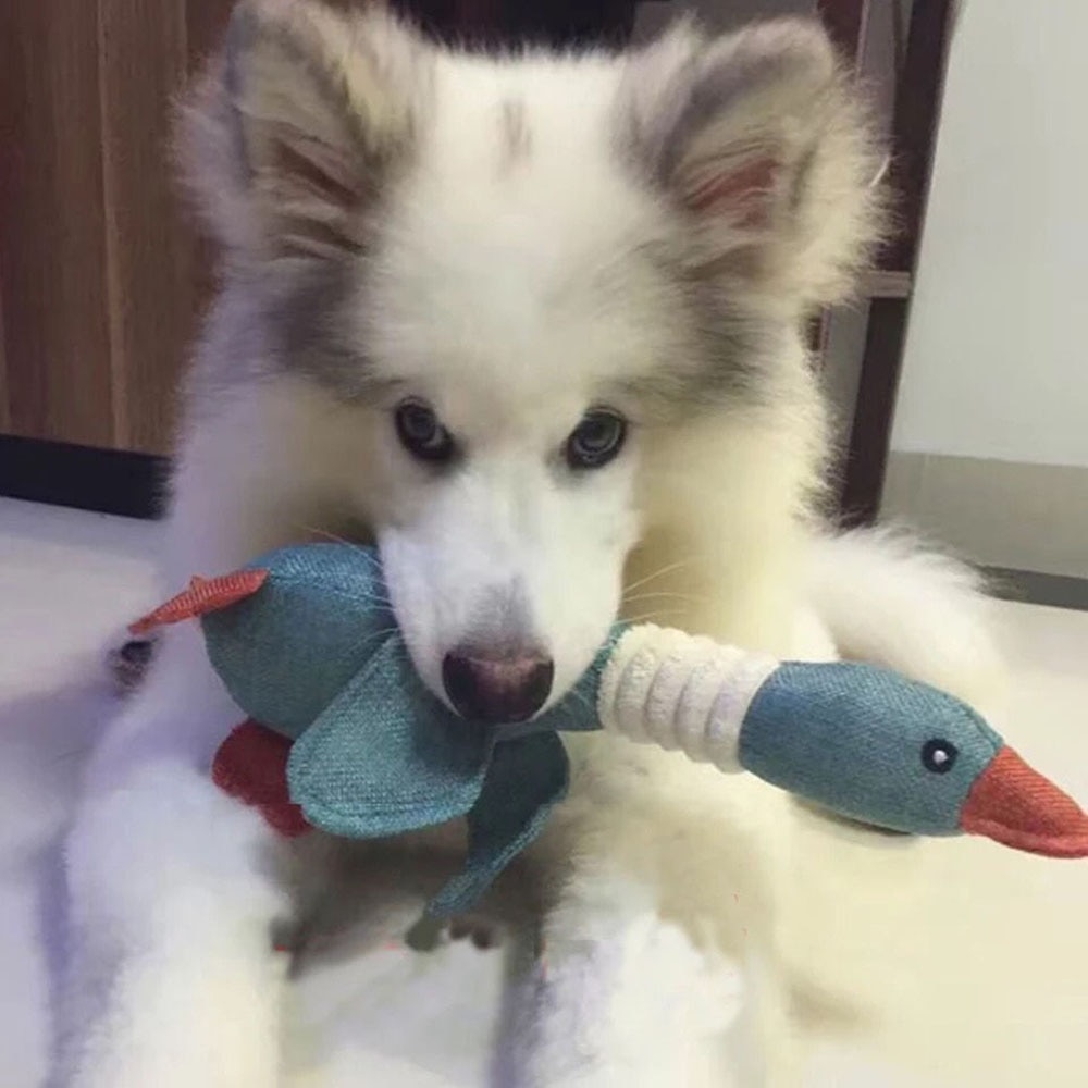 Mallard-shaped Toy With Squeaking Noises