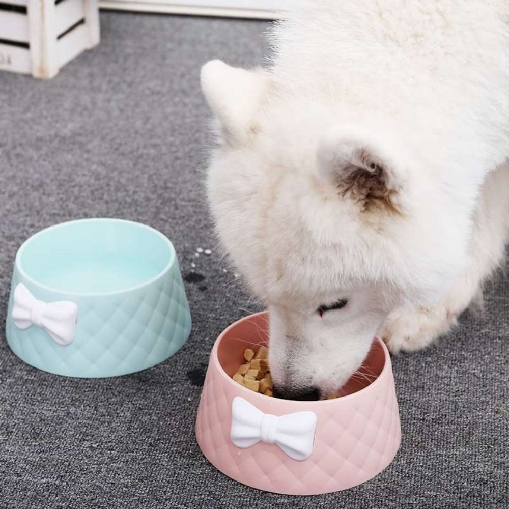 Dog Food Bowl With Cute Bow