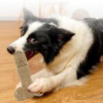 Dog Chew Toy - Plush Dick-shape Toy