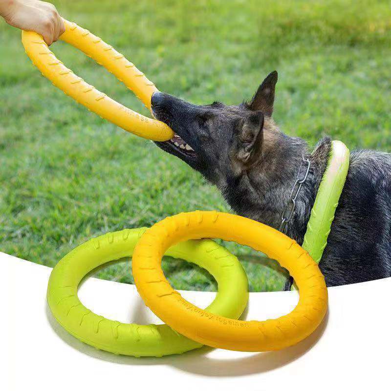Dog Interactive Training Toy – Pull Ring