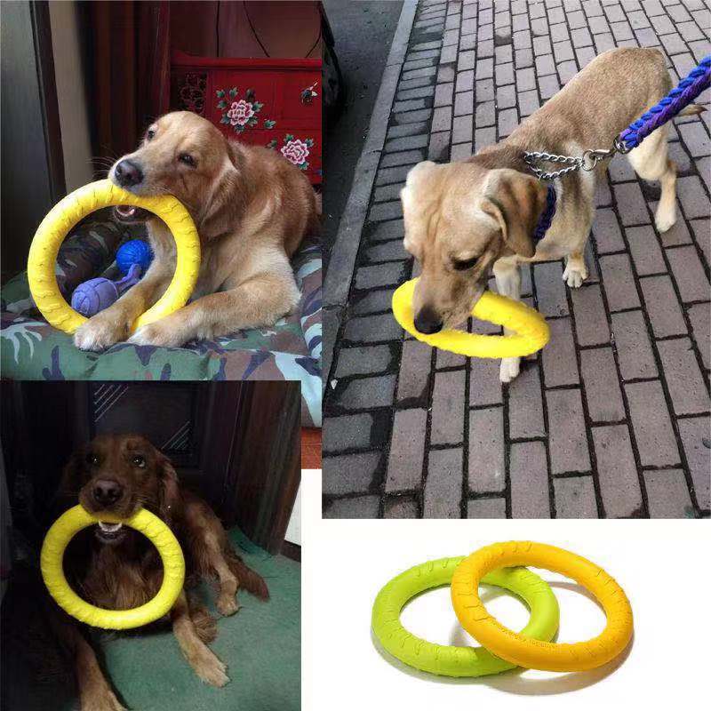 Dog Interactive Training Toy - Pull Ring