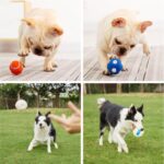Natural Rubber Ball - Squeaky Toy For Dog
