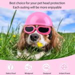 Dog Sunglasses & Helmet Set for Safe and Stylish Outings