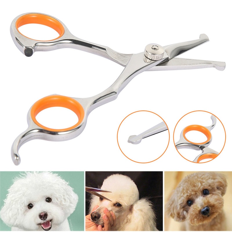 Dog Hair Scissor Stainless Steel