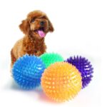 Sounding Ball Toy - Interactive Toys For Dog