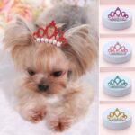 Crown Hair Clip - Beauty Accessories For Dogs
