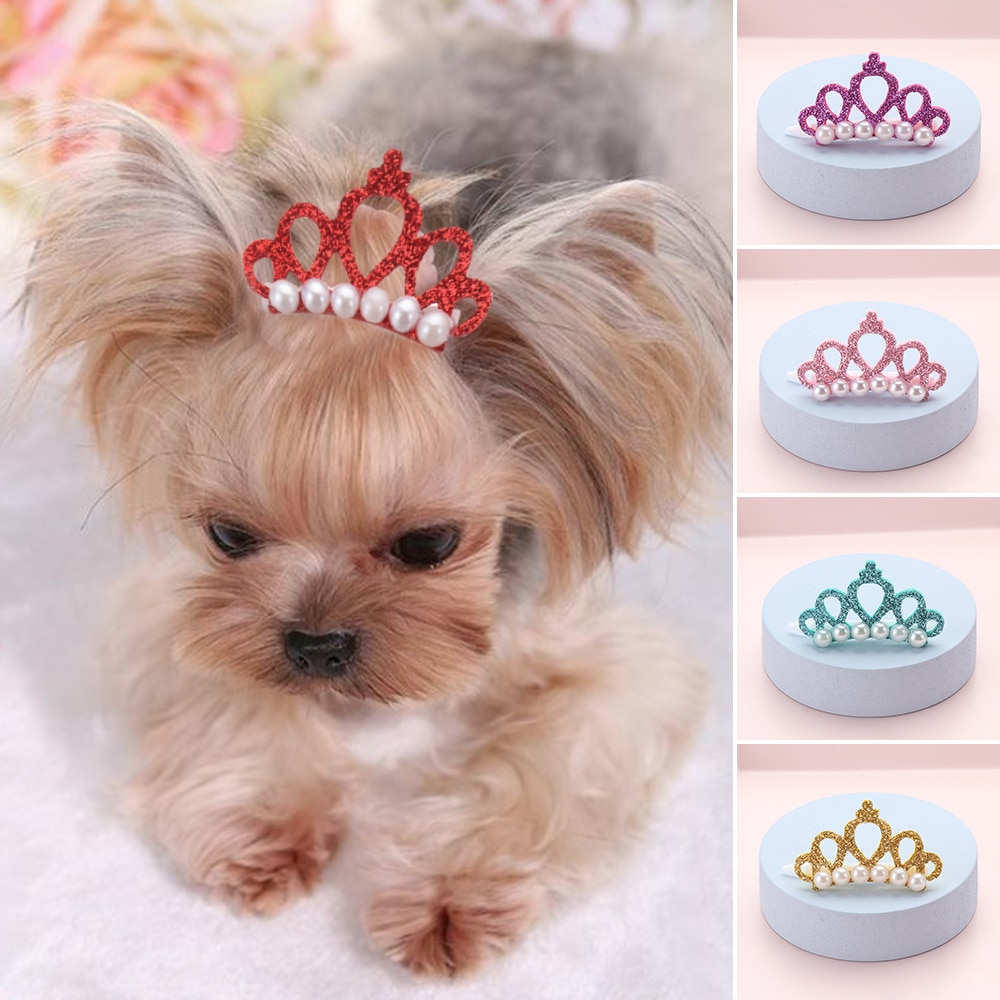 Crown Hair Clip – Beauty Accessories For Dogs