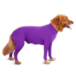 Basic Jumpsuit With A Convenient Zipper For Dog