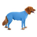 Basic Jumpsuit With A Convenient Zipper For Dog