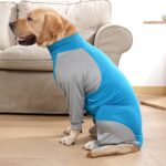 Dog Bodysuit With High-elastic Design