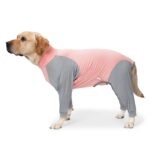 Dog Bodysuit With High-elastic Design