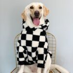 Checkered Fleece Hoodie For Dog