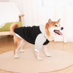 Soft And Thick Hoodie Keeps Dogs Warm