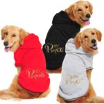 Basic Hoodie With Printed Letters For Dogs