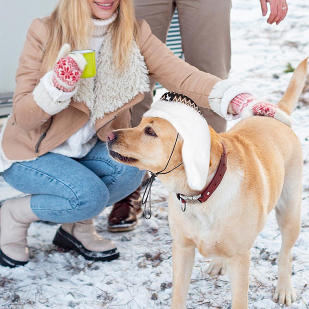 Dog Snow Cap - Super Soft Windproof Headwear
