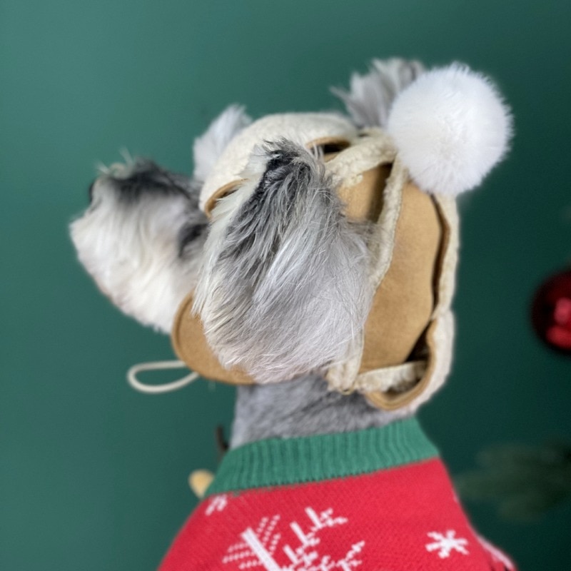 Luxurious And Elegant Beret For Dogs