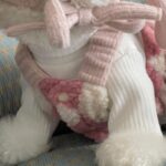 Cute And Sweet Winter Outfits For Dogs