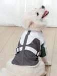 Modern Waterproof Jacket For Dogs
