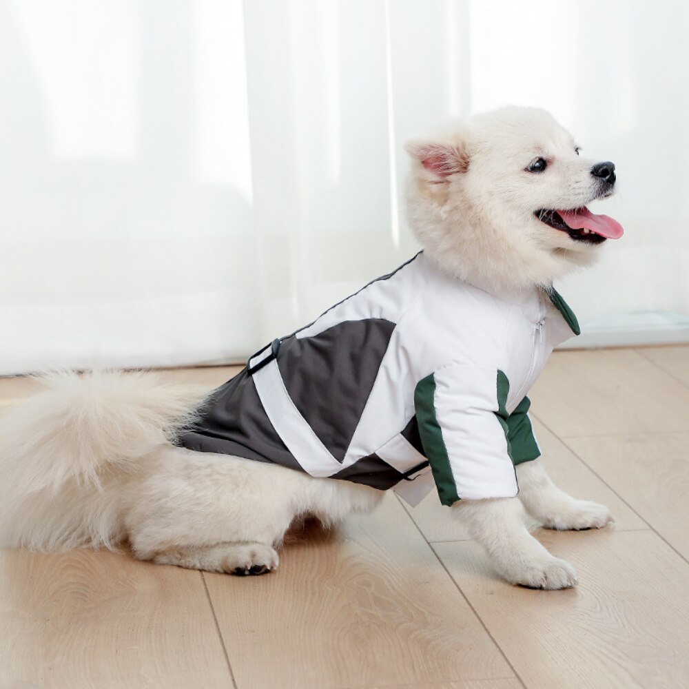 Modern Waterproof Jacket For Dogs