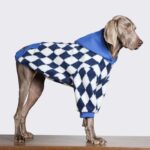 Fleece Hoodie For Dog In Winter - Super Cool