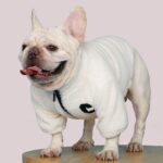 C-embroidered Warm Fleece Jacket For Small Dog