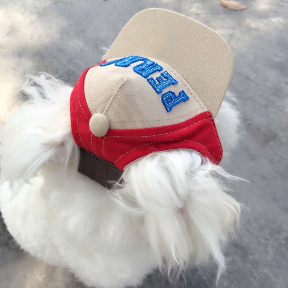 Sports Hat With Ear Holes For Dog