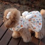 Sweet Princess Dress With White Bow For Dog