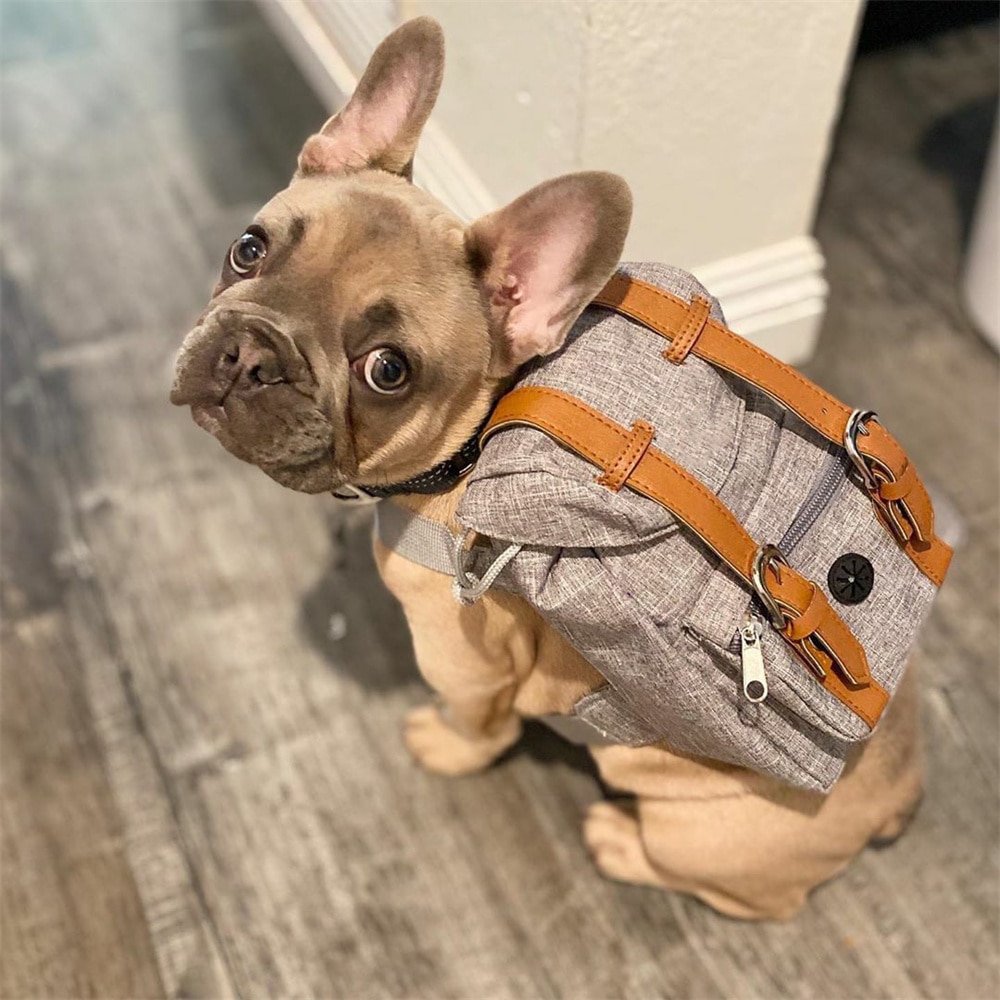 Travel Backpack For Dog – Compact and convenient