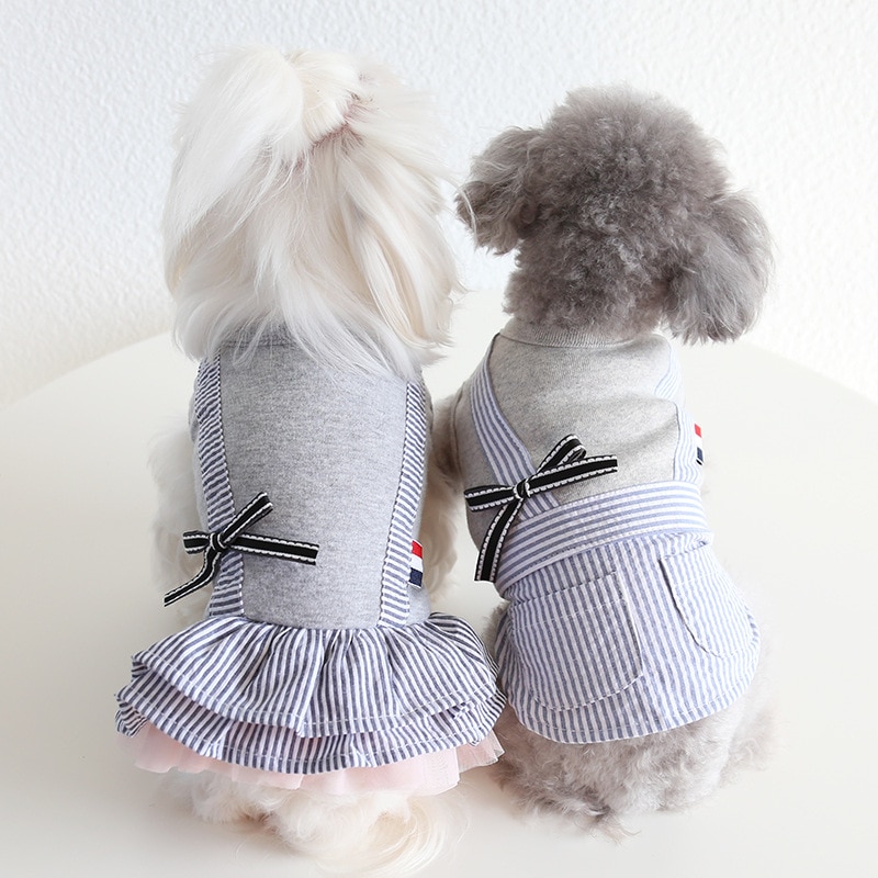 Vests and Dresses for Cute Dogs In Summer