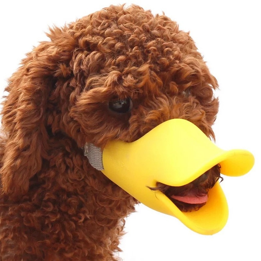 Muzzle For Dogs - Cosplay A Cute Duck