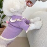 Sweet Color Knitted Sweater For Dogs