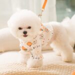 Dog Cute Harness - Soft And Breathable