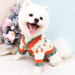 Dog Knitted Cardigan - Cute Cherry Print